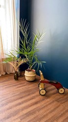 Фото компании ООО "KAMORKA" 5