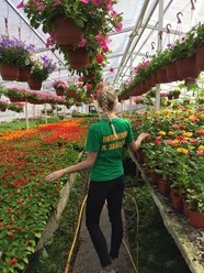 Фото компании  Питомник растений "Зайцево" 12