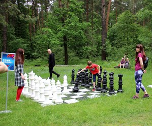 Фото компании  Любители шахмат 9