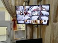 Фото компании  GlazGo Видеонаблюдение 2