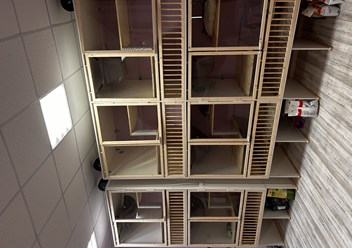 Фото компании  Передержка кошек 1