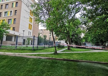 Рулонный газон
