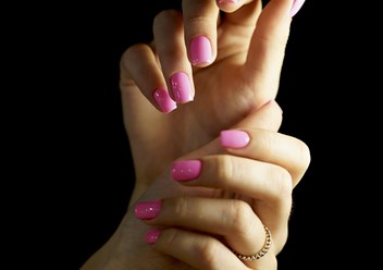 Фото компании  "Jungle" 2