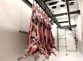 Фото компании ООО Анелия 4