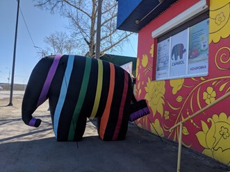 Фото компании  Академия цвета 9