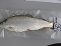 запаковываем в вакуумную упаковку, чтобы рыбка не испачкала полки в холодильнике и не было запаха рыбы