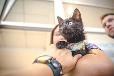 Фото компании  Био-Вет Калужская 12