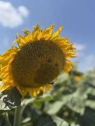 Фото компании  Ладожские LD 4