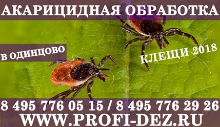 Фото компании ООО Профи - Дез 32