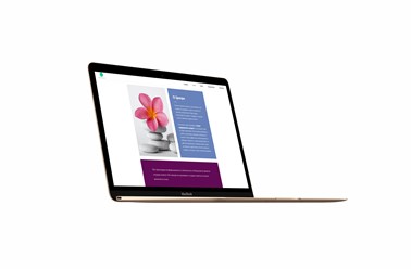 Фото компании ООО Студия Малберри 4