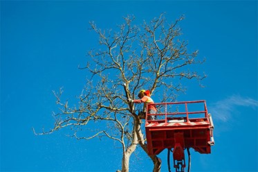 Фото компании  Арбера 18