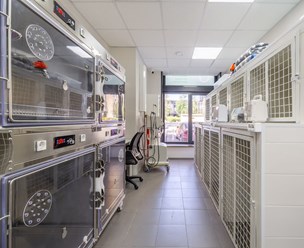 Фото компании ООО Хвостатая помощь 3