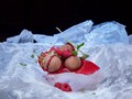 Фото компании  ROMCOLA 1