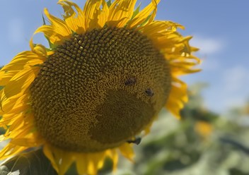 Фото компании  Ладожские LD 4