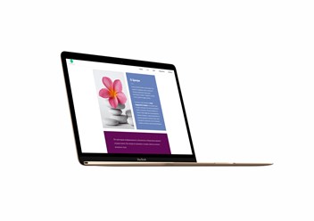 Фото компании ООО Студия Малберри 4