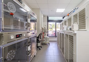 Фото компании ООО Хвостатая помощь 3