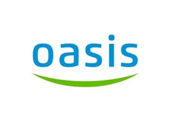 Газовые котлы Oasis