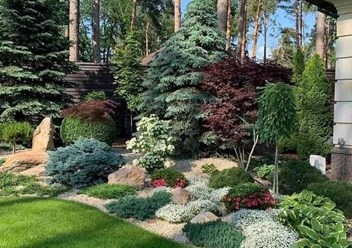 Фото компании  Красивые деревья 1