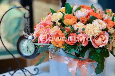 Фото компании  Flower Bird 4