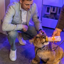 Фото компании  Аликсон Маркетплейс 4