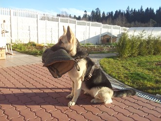 Фото компании ООО Аккорд 4
