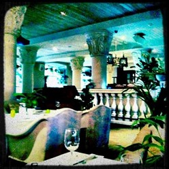 Фото компании  The сад 2