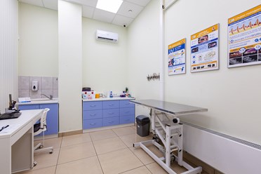 Фото компании  Центр ветеринарной офтальмологии доктора Шилкина А.Г. на ул. Островитянова 10