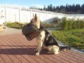 Фото компании ООО Аккорд 4