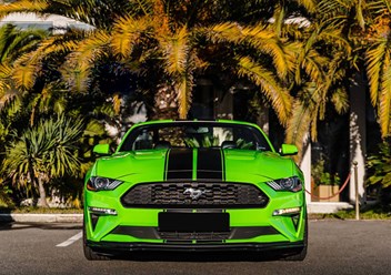 Фото компании ООО Premiumcarsochi 1