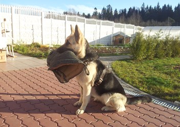 Фото компании ООО Аккорд 4