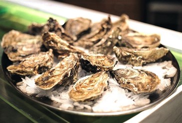 Фото компании  Porto Maltese 2