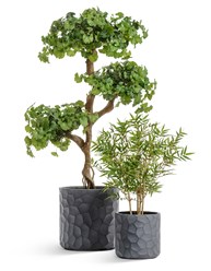 Фото компании  Зеленый Дворик 1