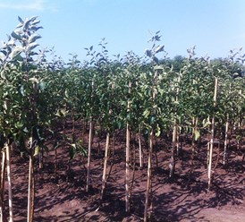 Фото компании ООО ЛТД 3