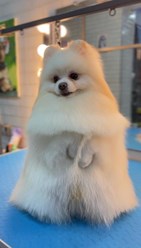 Фото компании  Fuzzy 1