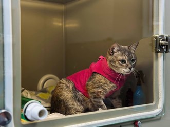 Фото компании  ПЛАНЕТА 19