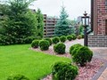 Фото компании ООО Paradisе _ Park Ландшафтная компания 5