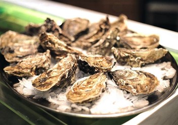 Фото компании  Porto Maltese 2