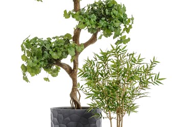 Фото компании  Зеленый Дворик 1