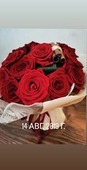 #красные розы