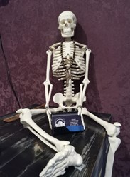 Фото компании  Messivo 2