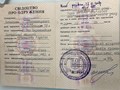 Фото компании ИП Бюро переводов "Дружба народов" 1