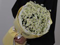 Букет из 11 кустовых ромашек - ромашки в Воронеже