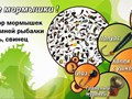 http://www.ribachokopt.ru/catalog/zimnyaya_rybalka/mormyshki/mormyshki_spider/
Мормышки Спайдер оригинальные в интернет-магазине Рыбачок-опт