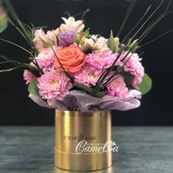 Фото компании  Camelia 9