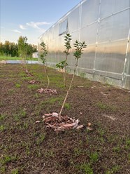 Фото компании  Бережки 10