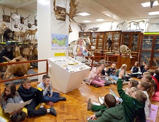 Зоологический музей в университете им. Лобачевского. Нижний Новгород