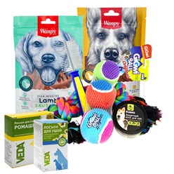 Фото компании ИП Dog is love 8