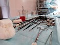 Фото компании ФГБОУ Клиника Кировского государственного медицинского университета 2