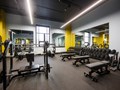 Фото компании ООО Susanin Fitness 1