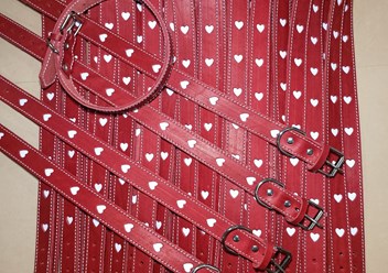 Фото компании  Petryaj™ 3